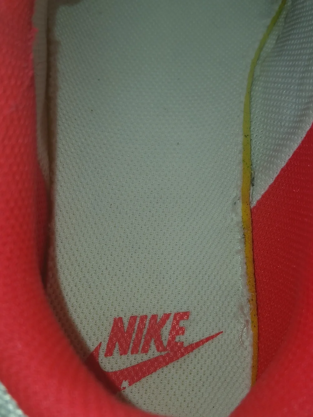 Nike Dunk Low Disrupt 